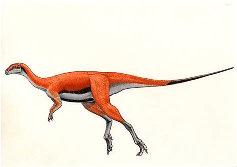 Othnielia Pictures & Facts - The Dinosaur Database