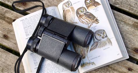 {The 8} Best Binoculars For Birding [November Tested]