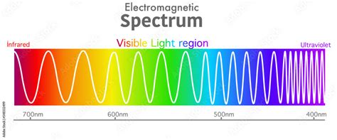 Vecteur Stock Visible electromagnetic spectrum diagram. Ultraviolet to ...