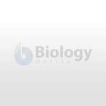 Transcellular fluid - Definition and Examples - Biology Online Dictionary