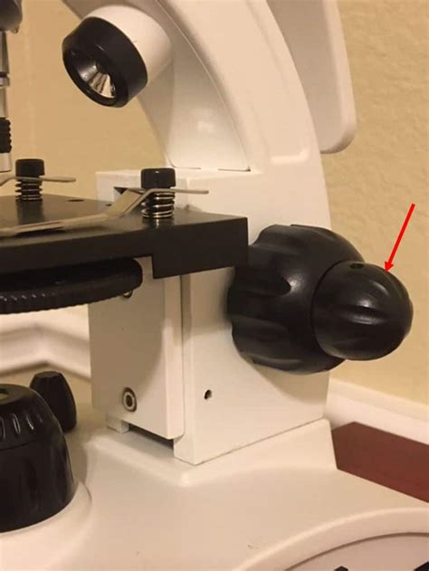 Microscope Coarse Adjustment and Fine Adjustment: Explained ...