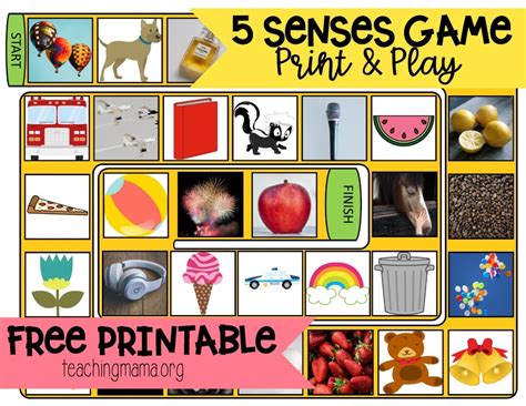 The 5 Senses - Printable Games