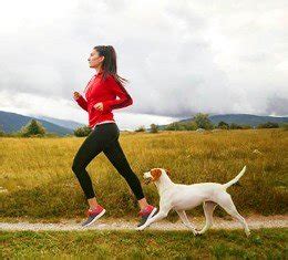 Tips for Jogging Dogs - Dog Rehabilitation