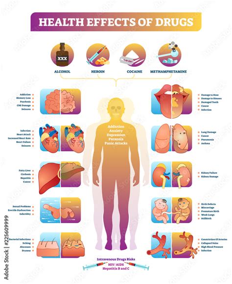 Health effects of illegal drugs vector illustration diagram. Disease set. Stock Vector | Adobe Stock