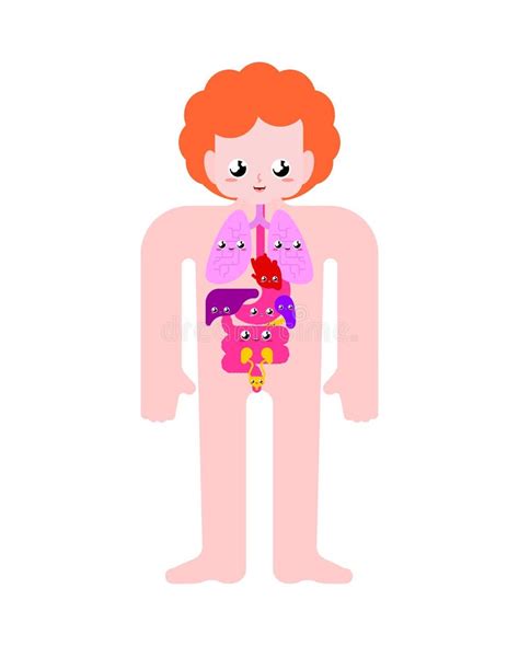Human Body Systems Kids Stock Illustrations – 45 Human Body Systems Kids Stock Illustrations ...