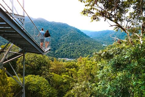 Review: Mamu Tropical Skywalk, East Palmerston, QLD - Top Oz Tours