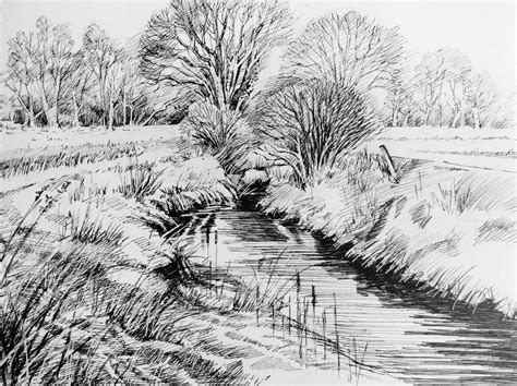 Trees in the Landscape 2. 2015. Pen & Ink. Glyn Overton. | Landscape drawings, Landscape pencil ...