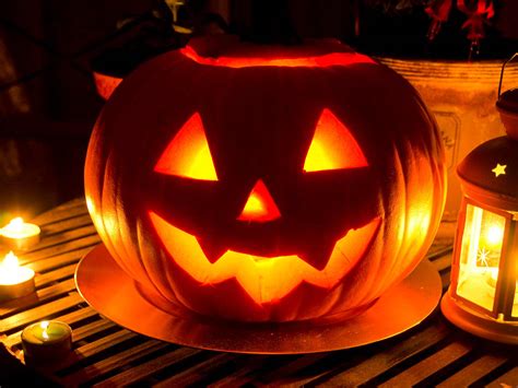 How to grow pumpkins for Halloween | lovethegarden