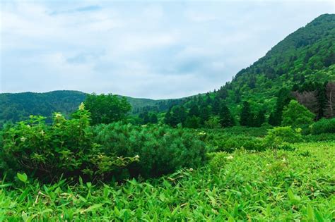 Premium Photo | Landscape at the bottom of the golovnin volcano caldera on kunashir island