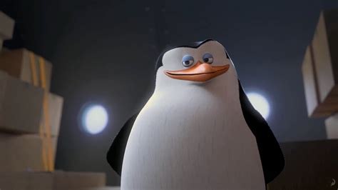 Image - Penguins-of-Madagascar-Movie-Wallpaper-19.jpeg | Penguins of ...