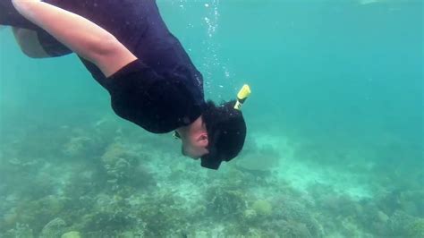 Snorkeling and freediving at Kanawa Island | Sailing Flores, Indonesia - YouTube