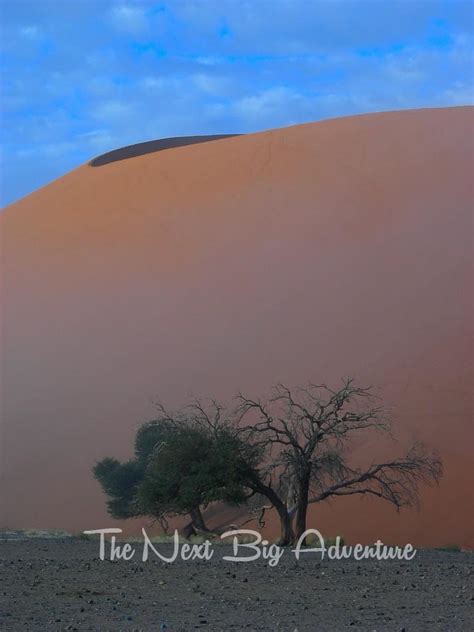 The Sand Dunes of Namibia - The Next Big AdventureThe Next Big Adventure