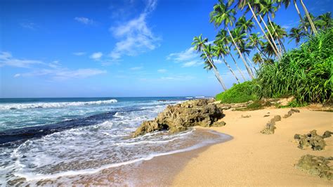 Download 2560x1440 wallpaper beach, sea waves, tropical beach, palm tree, dual wide, widescreen ...
