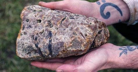 Whale “Vomit” Found in Yemen Worth $1.5 Million – Why is Ambergris so ...