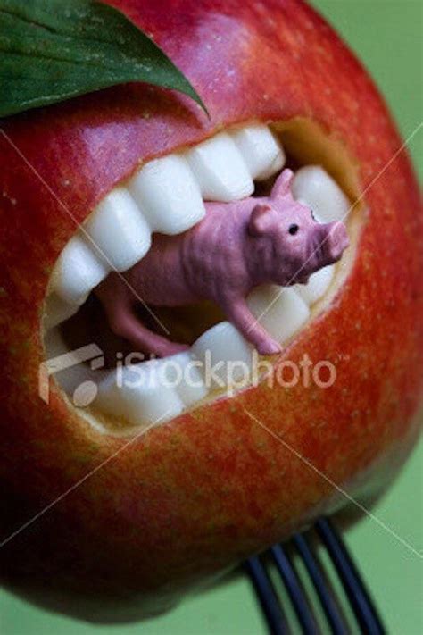 Annoying orange behind the scenes : r/wtfstockphotos