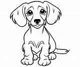 Coloring Pages Dachshund sketch template