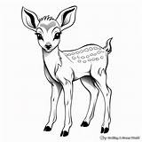Deer Fawn Coloring Page At Sasstabilizeblog Blog sketch template