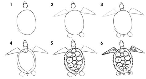 Sight Words, Draw Pictures Part 3: How To Draw Sea Creatures