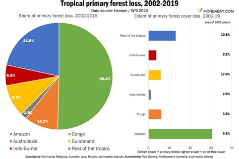 Climate Graph Of The Daintree Rainforest