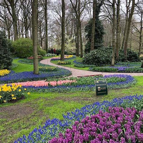 The history behind tulip time at Keukenhof Gardens - GO LIVE IT