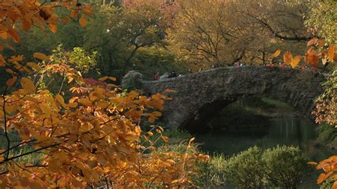 central park - fall colors | we got a new camera this weeken… | Flickr