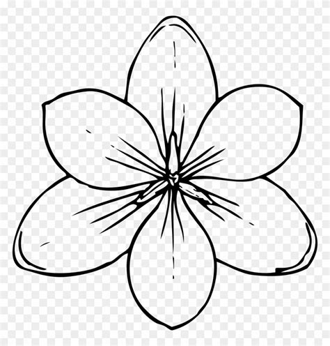 Free Printable Lotus Flower Stencils | Best Flower Site