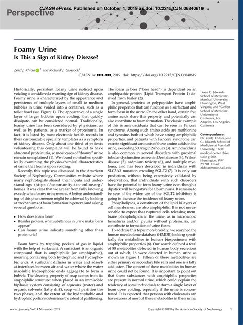 (PDF) Foamy Urine: Is This a Sign of Kidney Disease?