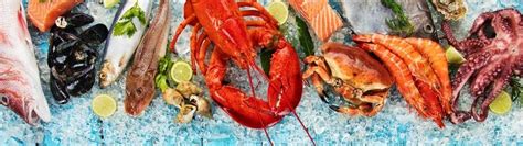 Top Seafood Restaurants Palm Beach | Braman Honda of Palm Beach