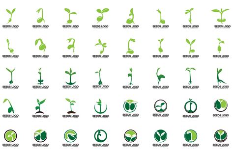 Plant Seeds Logo.growing Seed Logo Graphic by kosunar185 · Creative Fabrica