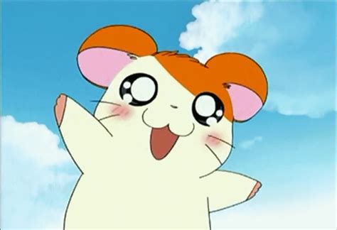 Image - Hamtaro Hamha.png | The Hamtaro Wiki | FANDOM powered by Wikia