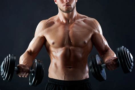 Increase Testosterone for Muscle Growth and Strength | Ultimate Guide 2024 – ZeniWellness ...