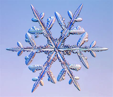 A Guide to Snowflakes - Snow Addiction - News about Mountains, Ski, Snowboard, Weather & Meteorology