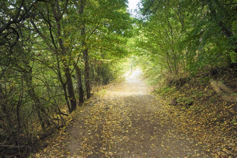 103,071 Scenic Pathway Stock Photos - Free & Royalty-Free Stock Photos ...