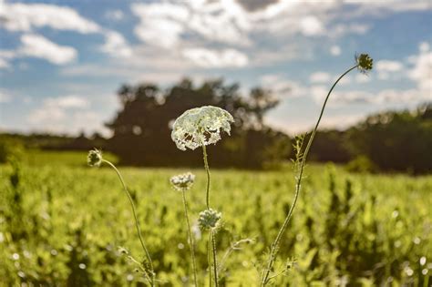 Stunning Photographs of Texas Landscapes – Garden & Gun