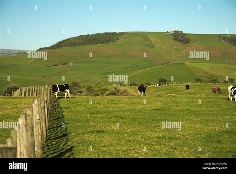 Agricultural land, Waikato Region, North Island, New Zealand Stock ...