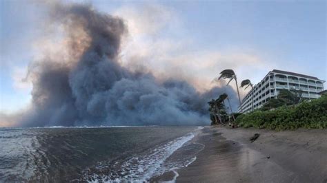 Lahaina: Famous banyan tree and centuries-old church hit by fires - BBC ...