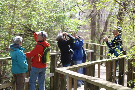 Magee Marsh Boardwalk will be open for limited birding access