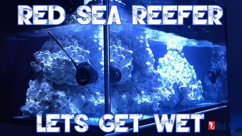 Red Sea Reefer 250 | LETS FILL UP THE REEFER | SUMP OVERVIEW - YouTube