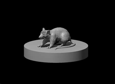 Cranium Rat Miniature – Mini Megastore