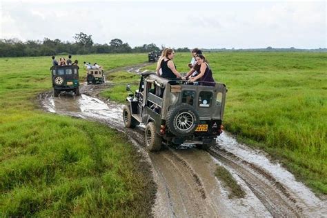 Wilpattu National Park Safari