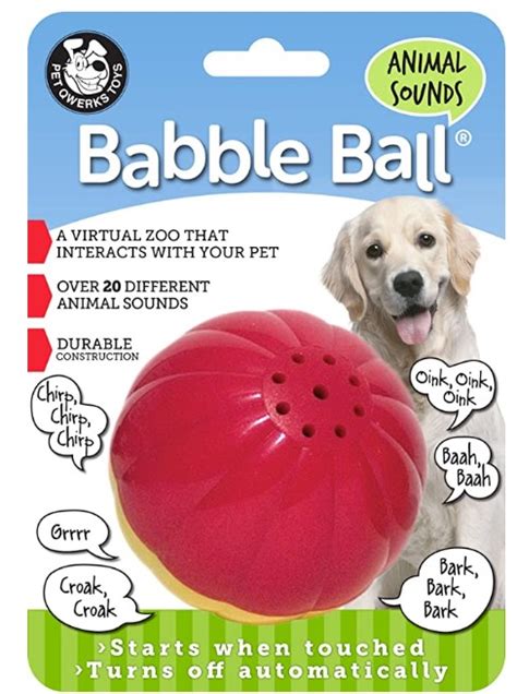 Blind Paws | The 10 Best Toys for Blind Dogs