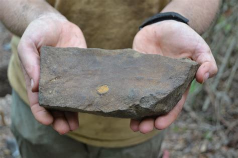 University of West Florida Campus Field School: Artifacts Part 2