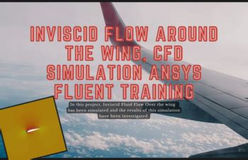 Inviscid Flow - MR CFD