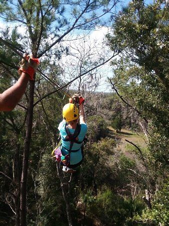 Canyons Zip Line & Canopy Tours (Ocala) - 2020 All You Need to Know ...