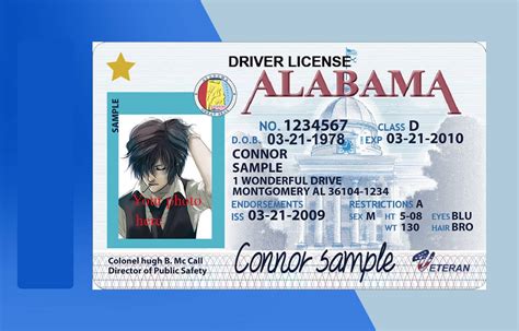 Alabama Drivers License Template