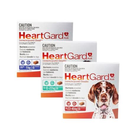 Dogs Heartworm Prevention 6 Beef Chews HeartGard Plus - Dog Haven