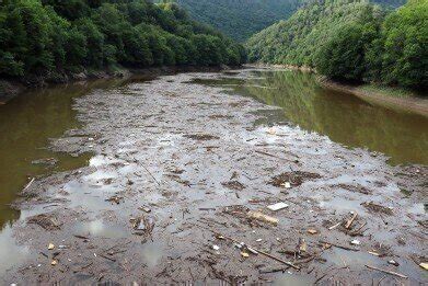 What Causes River Pollution? Pollution Solutions Online