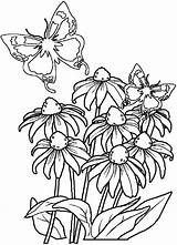 Free Printable 8x10 Coloring Pages Flowers sketch template