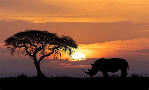 South Africa in May: Travel Tips, Weather & More | kimkim