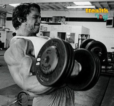 Arnold Schwarzenegger Workout Routine | Train A Like A Arnold - Health Yogi